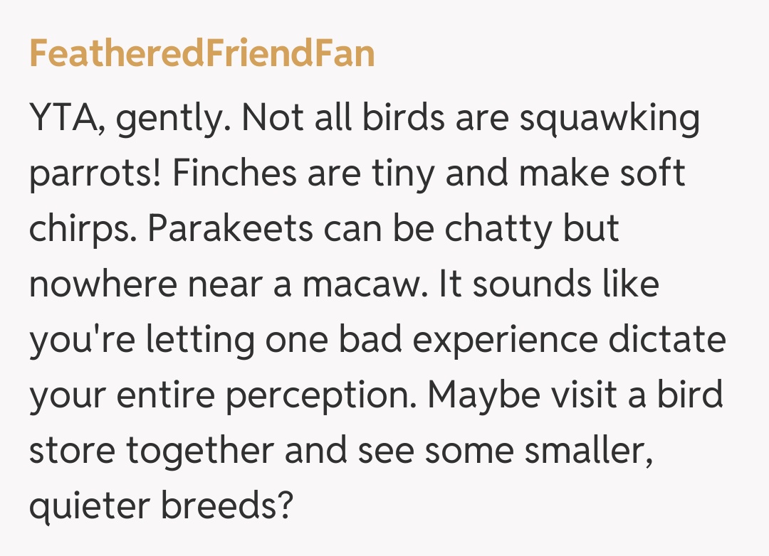 Comentariu de la FeatheredFriendFan