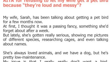 Photo of AITA for refusing to let my wife get a pet bird because “they’re loud and messy”?