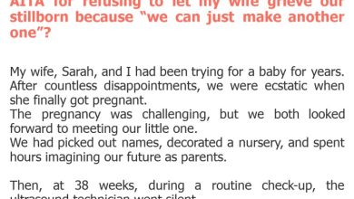 Photo of AITA for refusing to let my wife grieve our stillborn because “we can just make another one”?