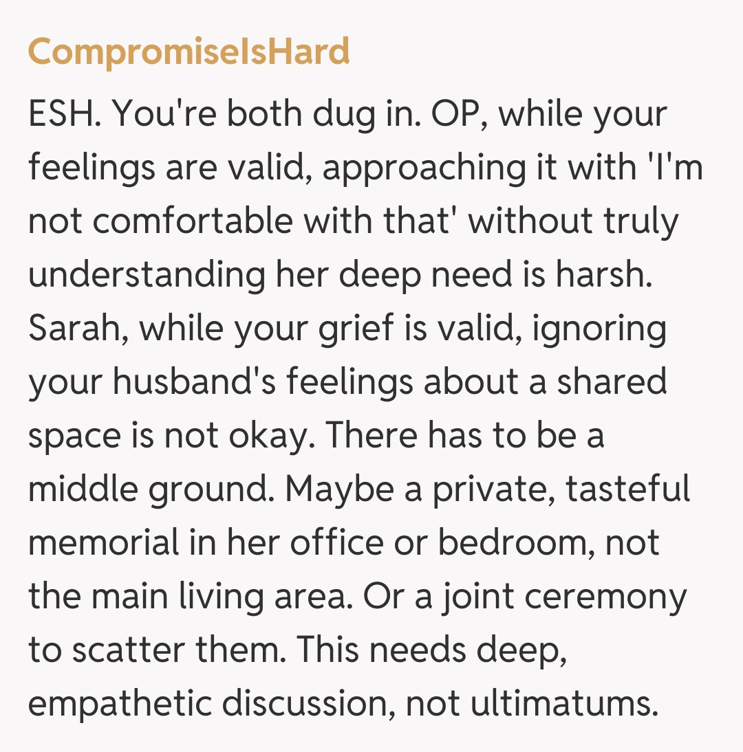 Comentariu de la CompromiseIsHard