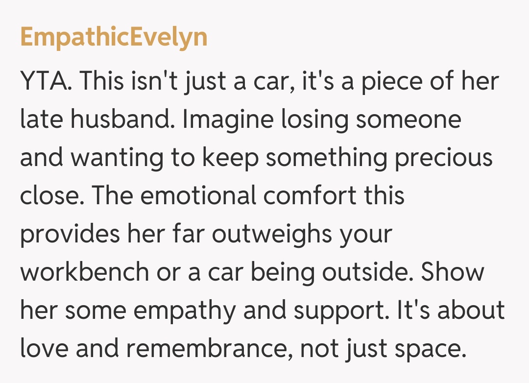 Comentariu de la EmpathicEvelyn