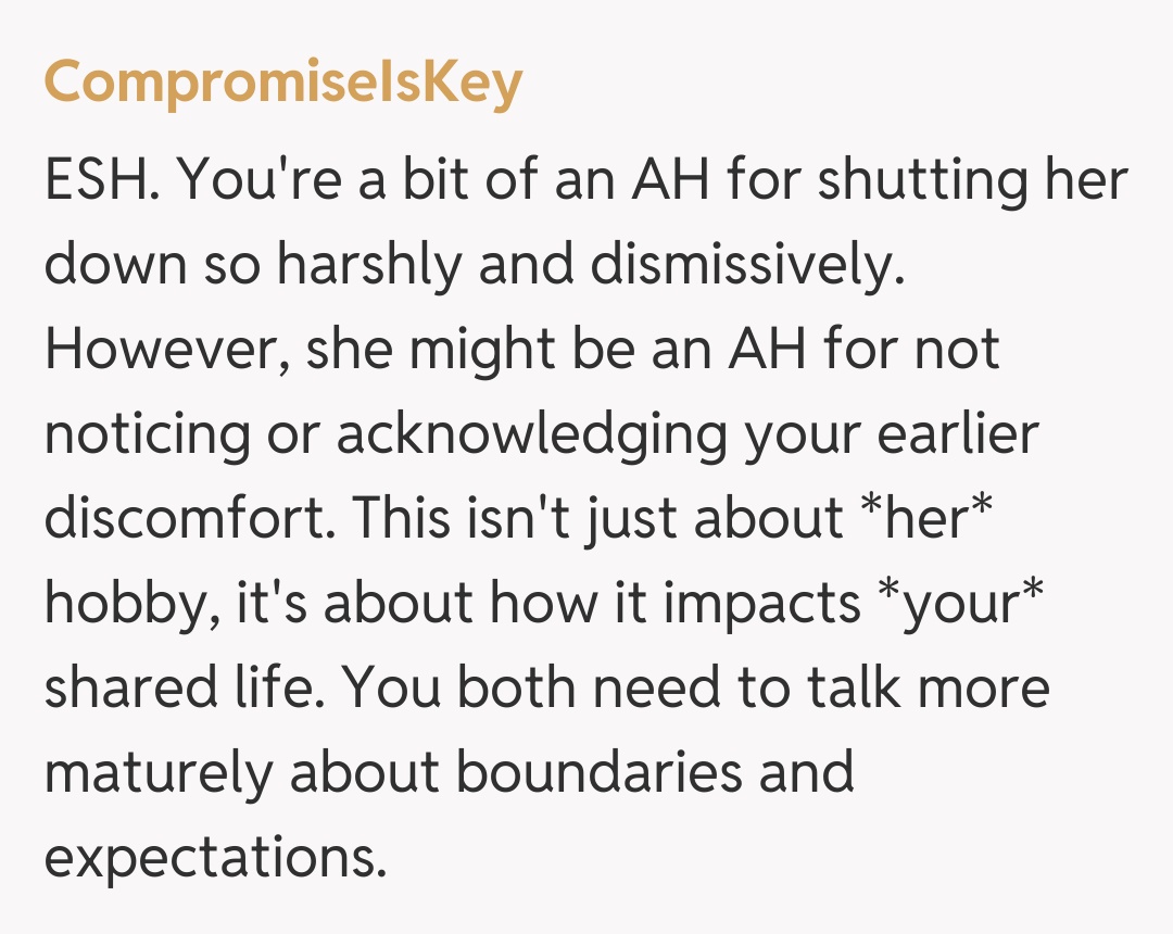 Comentariu de la CompromiseIsKey