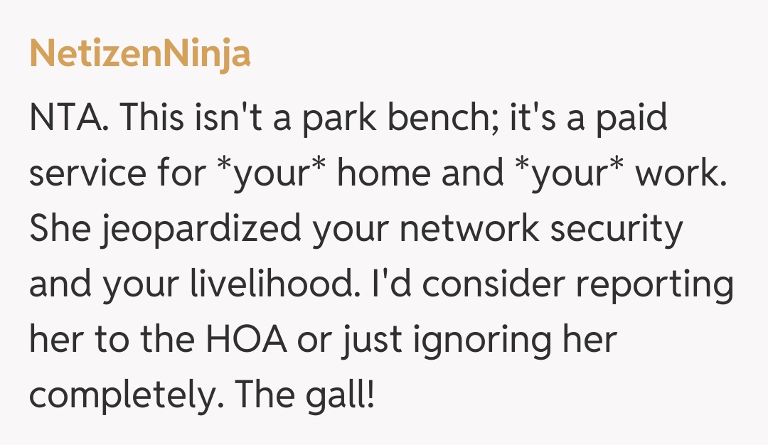 Comentariu de la NetizenNinja