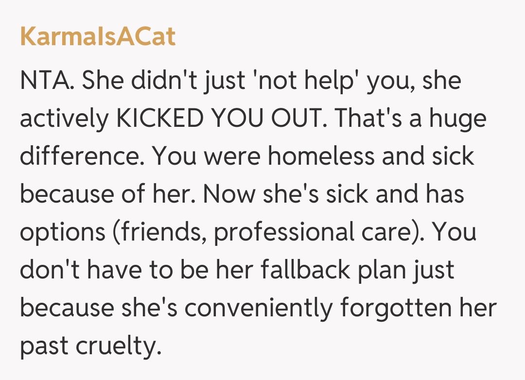 Comentariu de la KarmaIsACat