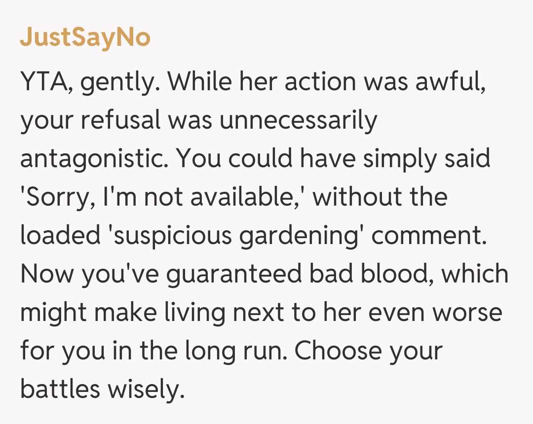 Comentariu de la JustSayNo