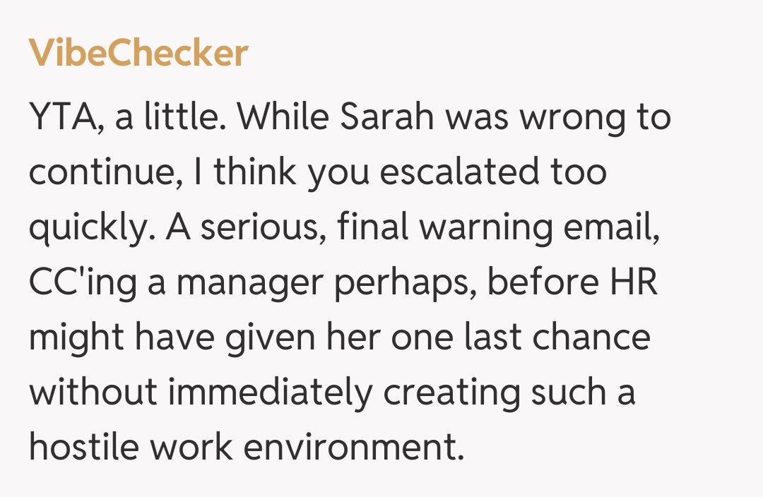 Comentariu de la VibeChecker