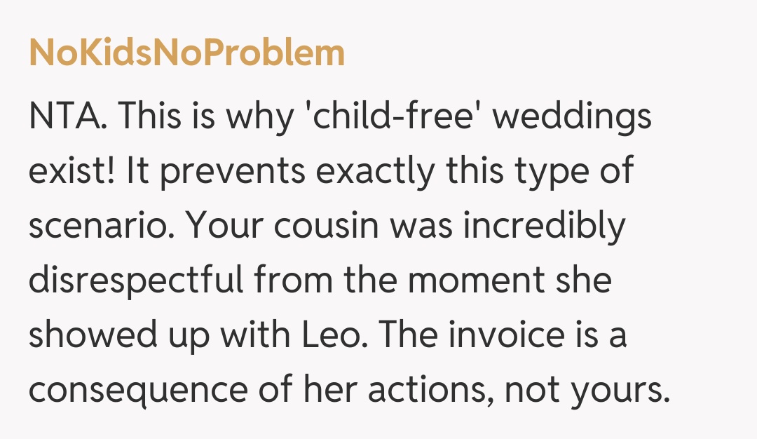 Comentariu de la NoKidsNoProblem