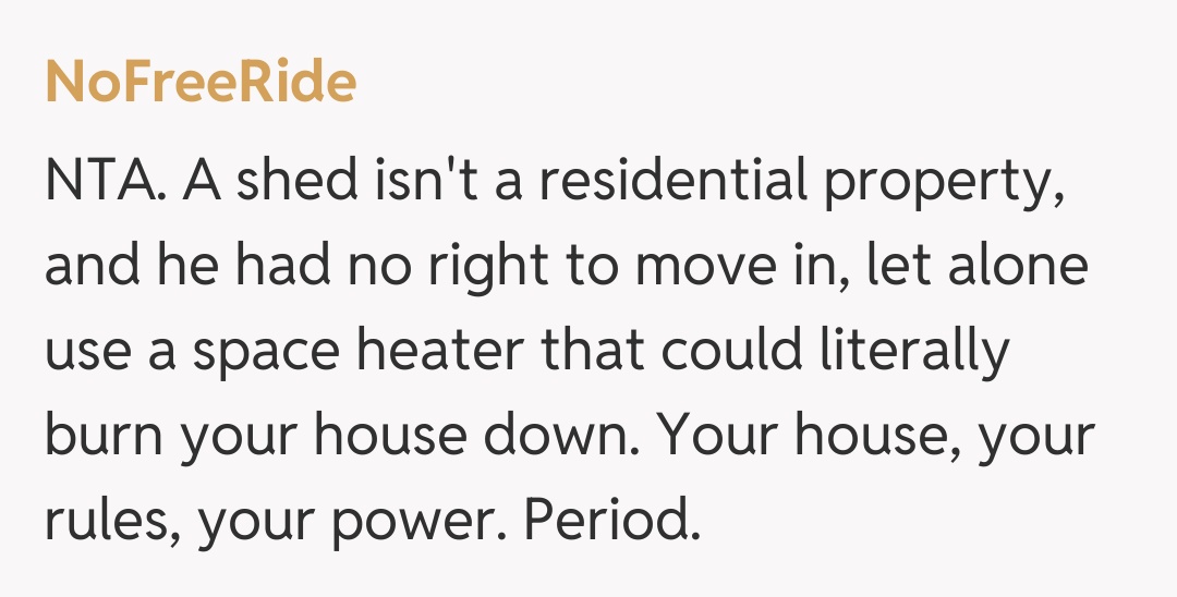 Comentariu de la NoFreeRide