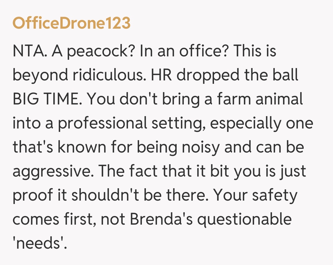 Comentariu de la OfficeDrone123