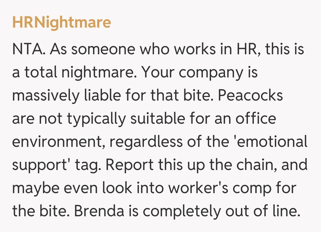 Comentariu de la HRNightmare