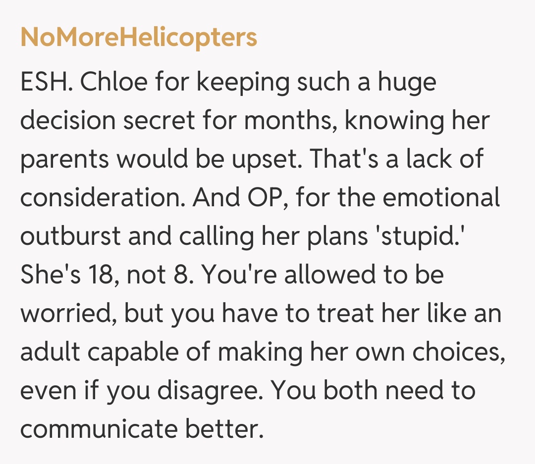 Comentariu de la NoMoreHelicopters