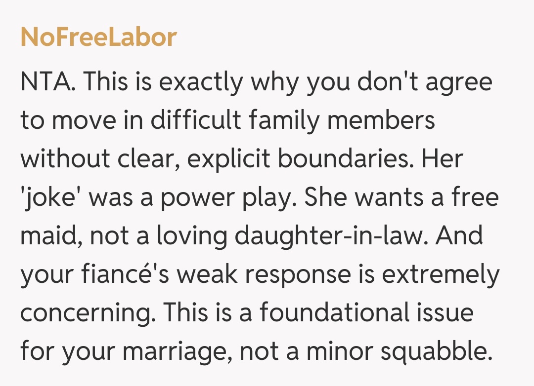 Comentariu de la NoFreeLabor