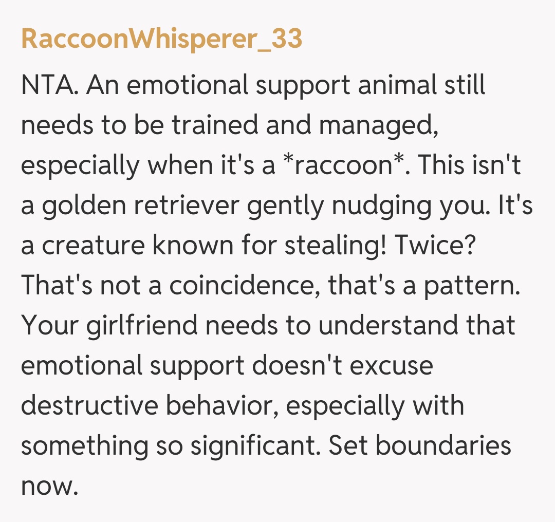 Comentariu de la RaccoonWhisperer_33