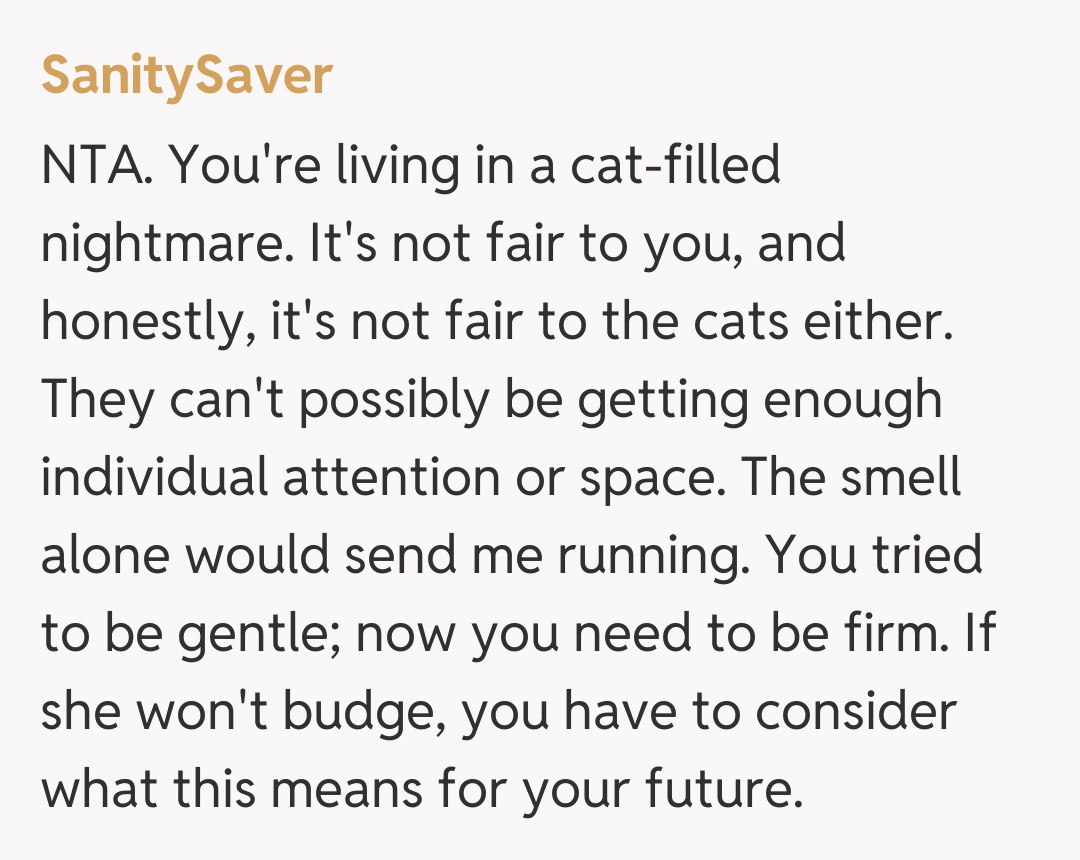 Comentariu de la SanitySaver