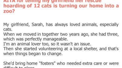 Photo of AITA for telling my girlfriend her rescue hoarding of 12 cats is turning our home into a zoo?