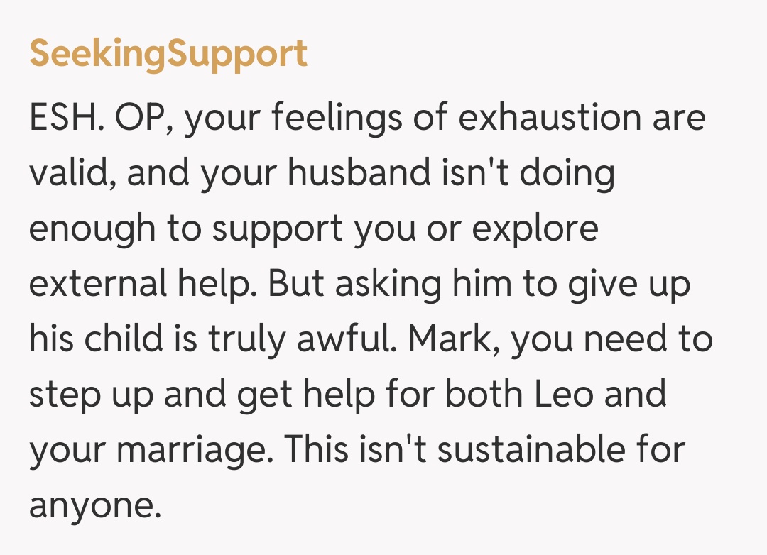 Comentariu de la SeekingSupport