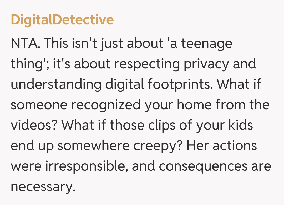 Comentariu de la DigitalDetective