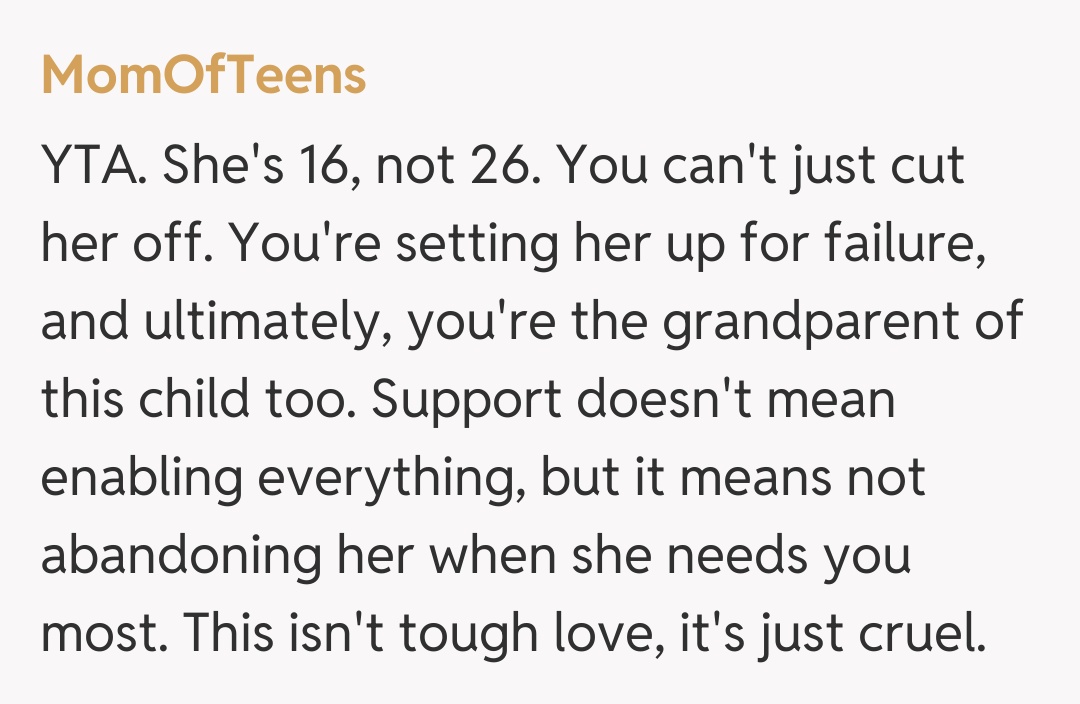 Comentariu de la MomOfTeens