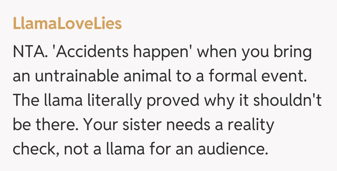 Comentariu de la LlamaLoveLies