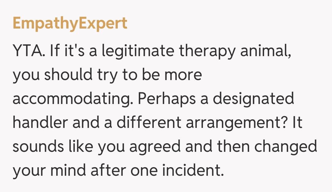 Comentariu de la EmpathyExpert