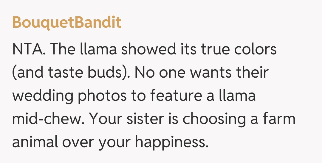 Comentariu de la BouquetBandit