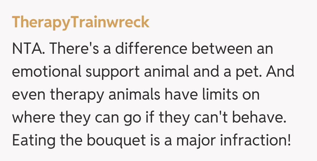 Comentariu de la TherapyTrainwreck