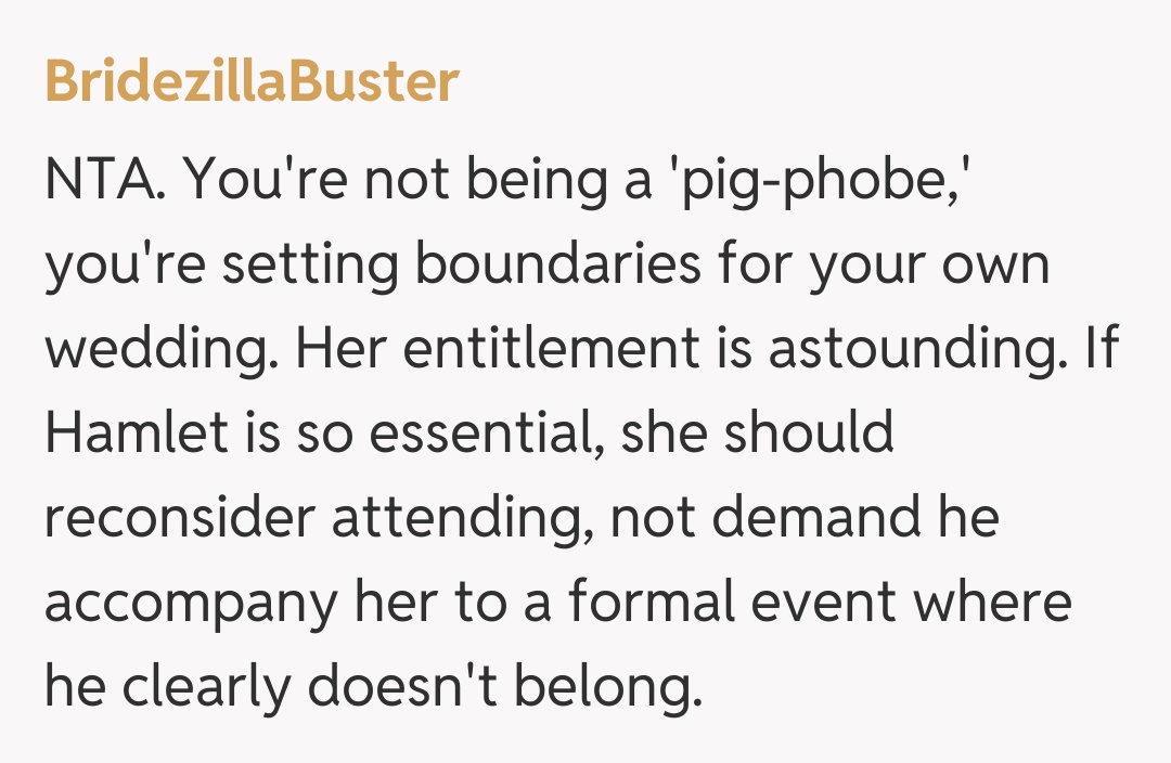 Comentariu de la BridezillaBuster