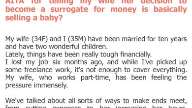 Photo of AITA for telling my wife her decision to become a surrogate for money is basically selling a baby?