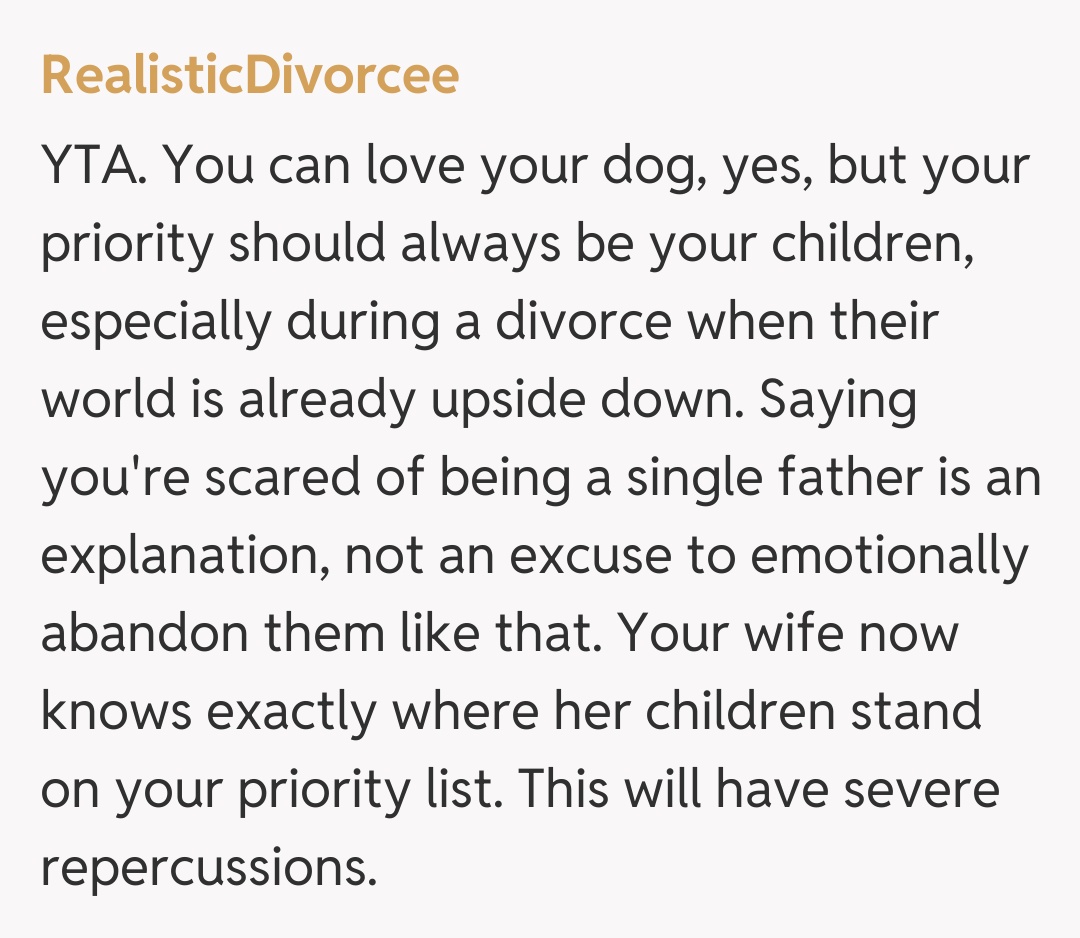 Comentariu de la RealisticDivorcee