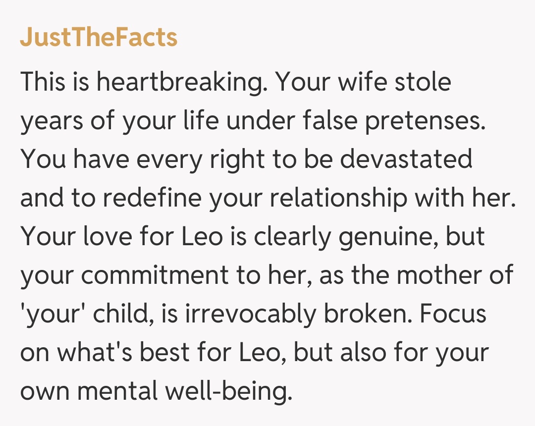 Comentariu de la JustTheFacts