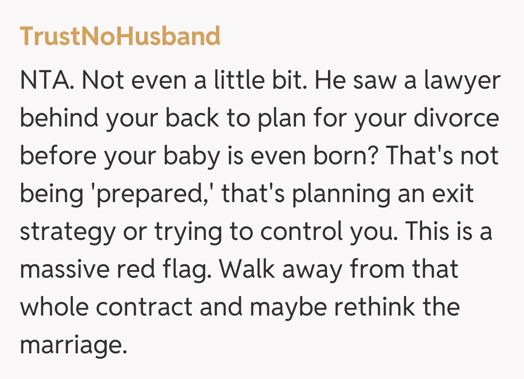 Comentariu de la TrustNoHusband