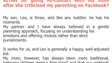 Photo of AITAH for going no-contact with my mom after she criticized my parenting on Facebook?