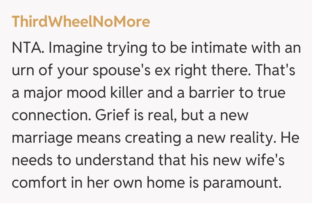 Comentariu de la ThirdWheelNoMore