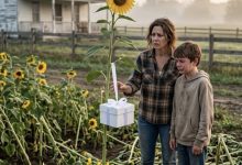 Photo of Six Years After My Daughter Disappeared, Someone Destroyed Her Sunflowers—and Left a White Box Behind