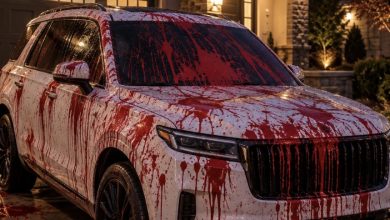 Photo of She Tried to Ruin My Car With a Bucket of Red Paint—Instead, She Accidentally Helped Solve a 6-Year-Old Hit-and-Run