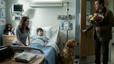 Photo of The Man Who Hurt My Son Walked Into His Hospital Room With Flowers—But He Had No Idea What Our Dog Had Helped Us Find